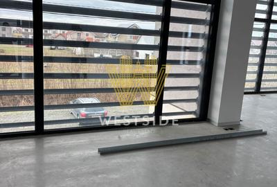 Spatiu premium de inchiriat, in Mosnita Noua - 2