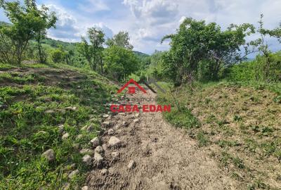 Teren intravilan in Poiana Campina--1954mp--23.500e - 7