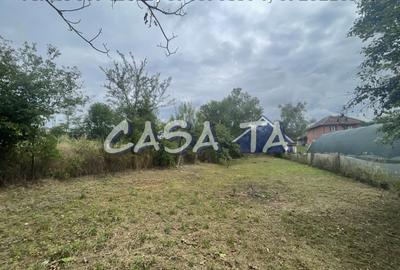 Casa D+P+M, Curtisoara - 15