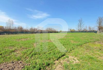 Imobil Com. Tătărăștii de Sus, Jud. Teleorman, comision 0% cumparator - 25