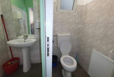 Hala Lugojului 1800 euro+TVA - 8