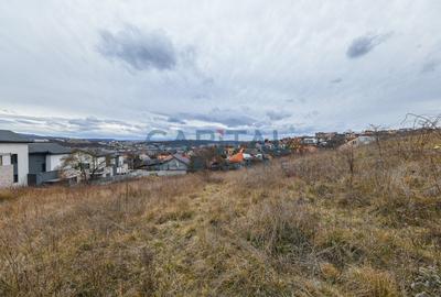 FARA COMISION! Teren constructii 3400mp, front 31 m, panorama, Dambul Rotund - 5