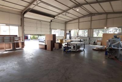 Vand  proprietate ideala pt logistica,, spatii depozitare, productie - 8