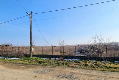 Teren intravilan 7400 mp in Sibioara, cu vedere la Lacul Tasaul - 4