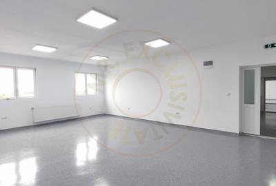Inchiriere Spatii de Birouri/Productie - Str. Uzinei - Carei - Comision 0% - 20