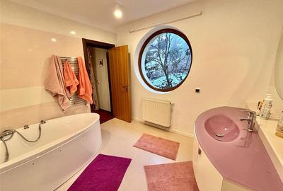 Vila Impunatoare Cioplea Predeal - 17