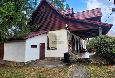 Refugiu rustic in natura – proprietate deosebita in Valea Avrigului – Sibiu - 26
