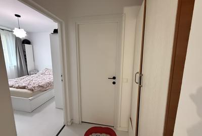 Apartament 2 camere, 45 mp, renovat, zona Eremia Grigorescu - 6