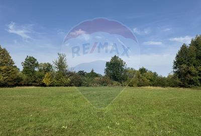 Teren 10.000 mp Calatele – Apuseni, langa rau, ideal investitie turism - 4