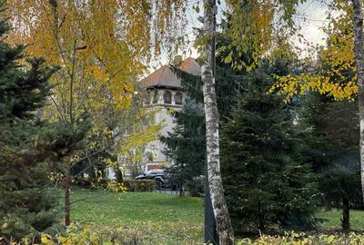 Primăverii - vilă impresionantă de vânzare - 1