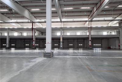 Spatiu Industrial - 5000 mp - Logistica - Depozitare - Distributie - 9