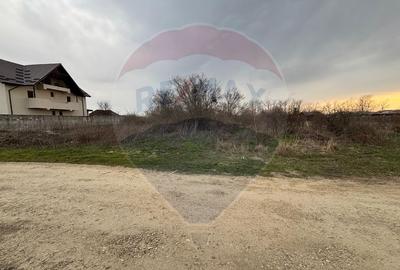 Ocazie! Teren Gulia-Tărtășești | 2.000 mp | Deschidere 40m | Utilități - 3