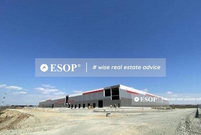 Constanta Business Park, spatii Depozitare/productie, 5.000-80.000mp - 5