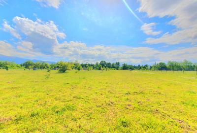 Teren intravilan 1000 mp, Valea Avrigului - 1