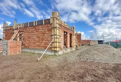 Structura Generoasa Zona Linistita - 1