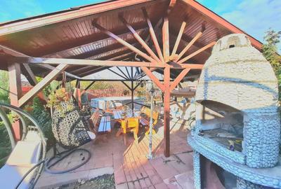 Teren de vanzare intravilan 750 mp sannicolauu mare - 14