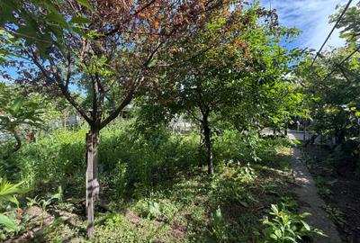 Bucurestii Noi,casa individuala cu teren de 653 mp,deschidere la 2 străzi,OCAZIE - 15