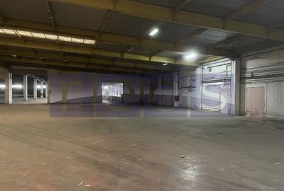 HALA | DEPOZIT - OTOPENI CENTURA  |  20.0000 MP - 11