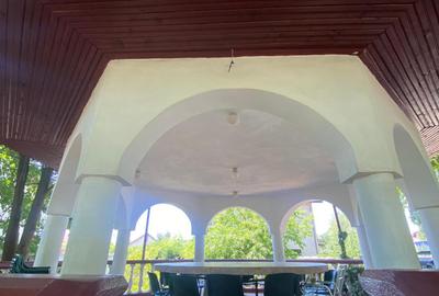 Domeniu Privat - Rosu/ Chiajna - Ilfov - 7