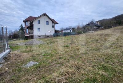 Teren Construcții intravilan de 732 mp, în Sângeorgiu de Mureș