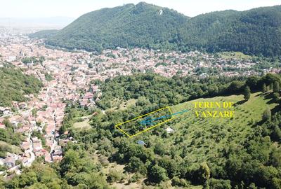 Teren in Scheii Brasovului inconjurat de natura - 9