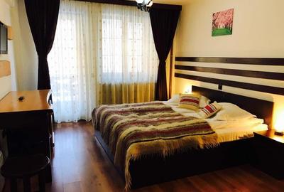 Hotel/Pensiune, 700 mp în Brăduleț