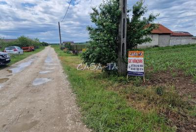Teren Intravilan (7500 mp),situat in Balesti - Tamasesti - 5