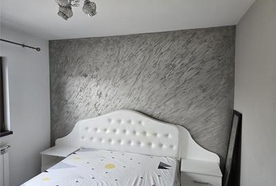 Apartament 2 camere Podu de Fier - 550 euro - 4