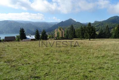 Oportunitate langa lacul Colibita! Teren intravilan 12.588 mp! - 2