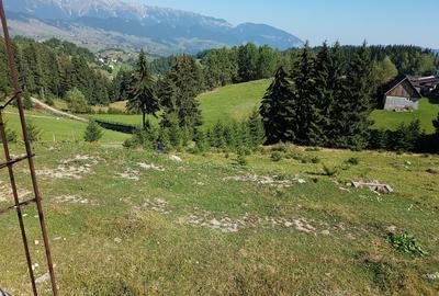 Cabană montană cu panoramă Bucegi & Piatra Craiului – Fundata - 8