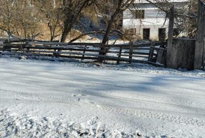 Casă de vânzare com. Ocoliș, nr. 90, jud Alba, 50000 EURO - 1