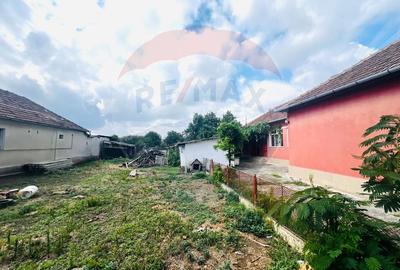 Casă 4 camere 1672 mp teren in Horia - 6