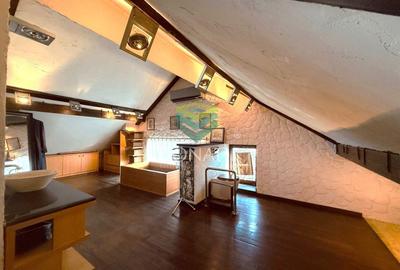 Zona Iancu Nicolae, vila de vanzare, 382 mp construiti - 5