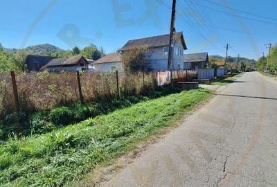 Teren Construcții intravilan de 5381 mp, în Văcarea