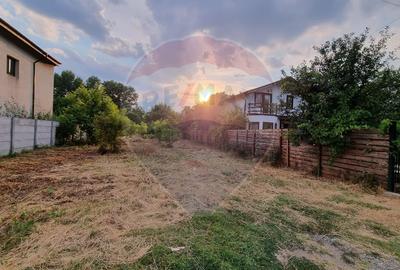 Teren 1,000mp Ciorogarla / None - 1