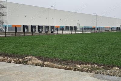 Teren intravilan, zona Calea Sagului. - 2