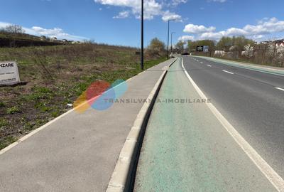 Teren 2900 mp, front la DJ, zona Valea Chintaului - 9