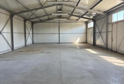 Spatiu comercial 280 mp + 700 mp curte, Filiasi - 1