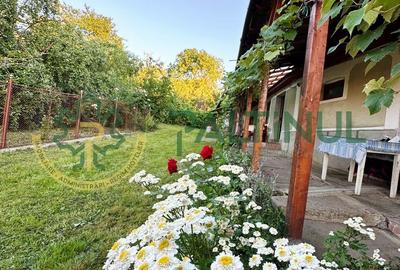 Casă și Teren Generos în Sibiu,  Armeni, Comuna Loamneș - 11