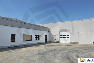 Hale moderne de inchiriat in Sebes-Alba - 4