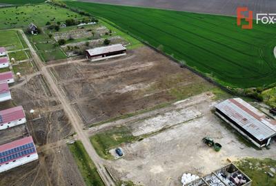 Teren intravilan cu suprafata de 58.340 mp, in Sanmartinul Sarbesc - 7