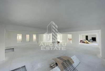 Spatiu comercial 238 mp, zona Lipovei , artera circulata - 2