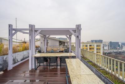 Penthouse de inchiriat in Aviatiei Park | Comision 0% - 31