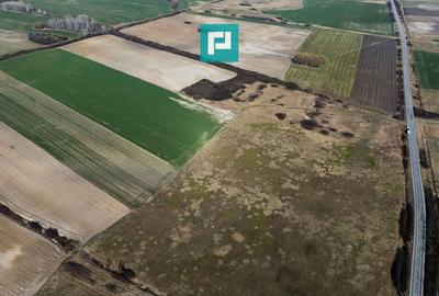 Teren agricol extravilan de 9000 mp, în Sânmihaiu Român