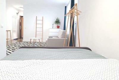Apartament 1 camera Pet Friendly - 4