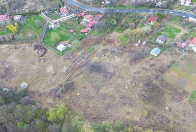 Teren Soseaua Bucium 5006 mp Intravilan - PUZ Aprobat - 6 Loturi - 4