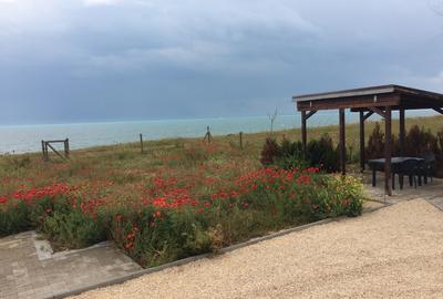 Teren 5000mp in Costinesti PRIMUL RAND la MARE cu Autorizatie Constructii Resort - 6