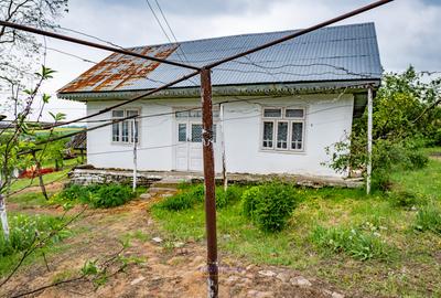 Casă din chirpici, bucătărie de vară și 1.34 ha de teren, Ardeoani - 11