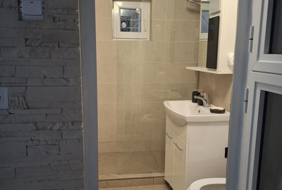 Micro 17, 2 camere amenajate modern, mobilate Pret 400 Euro - 14