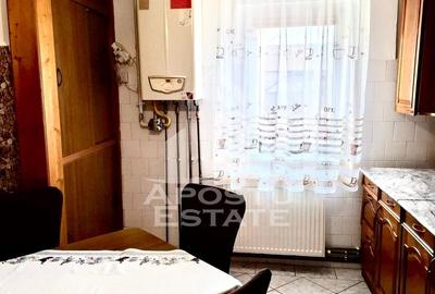 Apartament cu 2 camere de inchiriat, semidecomandat in zona Buziasului - 6